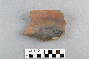 37-1-10