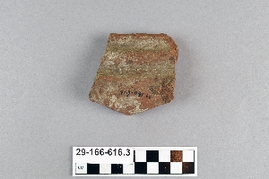 29-166-616.3