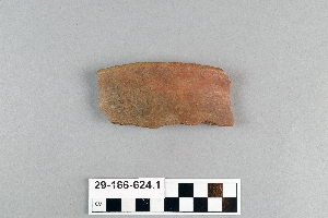29-166-624.1