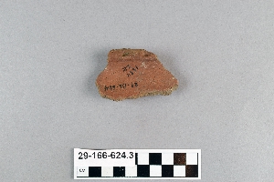 29-166-624.3