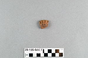 29-166-644.1