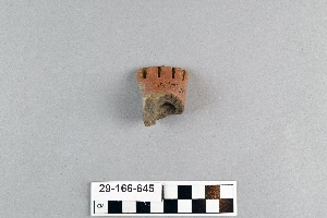 29-166-645