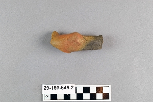 29-166-646.2