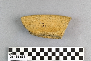 29-166-651