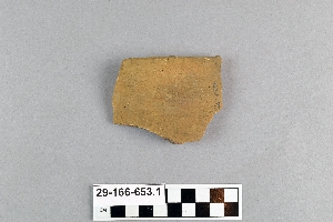 29-166-653.1