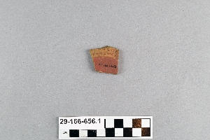 29-166-656.1
