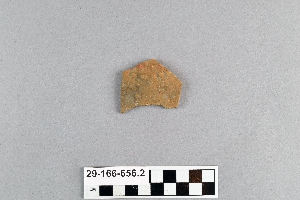 29-166-656.2