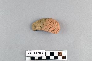 29-166-662
