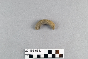 29-166-663.1