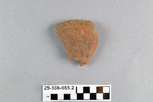 29-166-665.2