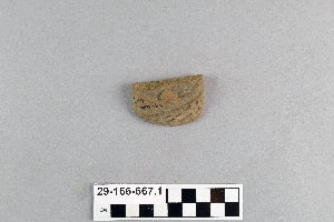 29-166-667.1
