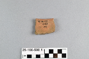 29-166-500.1