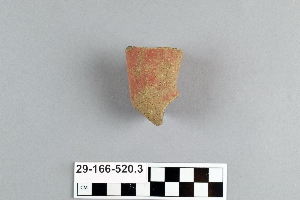 29-166-520.3