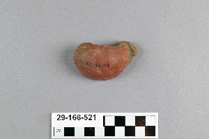 29-166-521