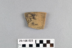 29-166-523