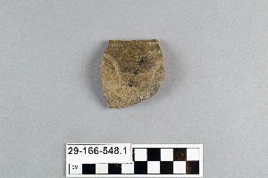 29-166-548.1