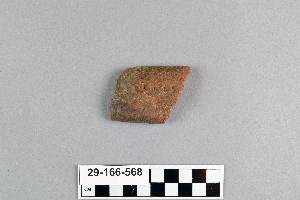 29-166-568