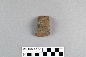 29-166-577.1