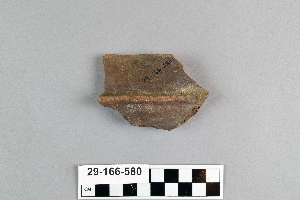 29-166-580