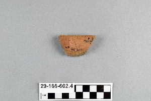 29-166-602.4
