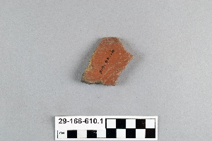 29-166-610.1