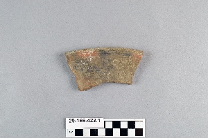 29-166-422.1