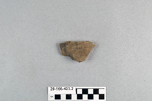 29-166-423.2