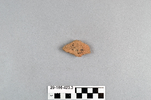 29-166-423.3