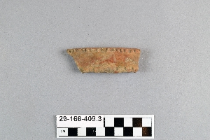 29-166-409.3