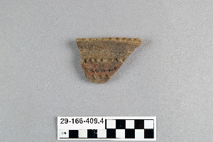 29-166-409.4