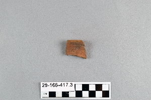 29-166-417.3