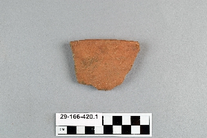 29-166-420.1