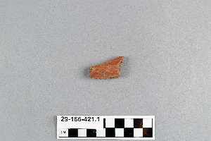 29-166-421.1