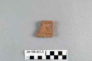 29-166-421.3