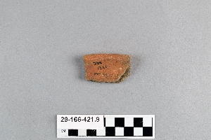 29-166-421.9