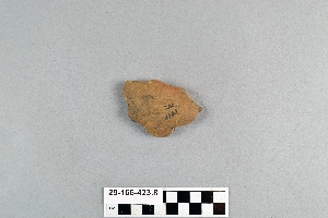 29-166-423.8