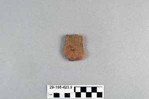 29-166-423.9