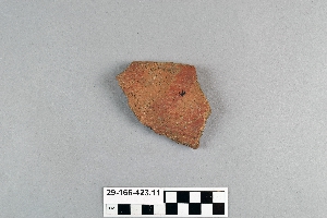 29-166-423.11