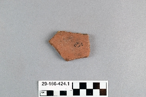 29-166-424.1