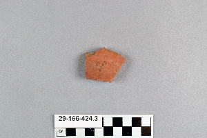 29-166-424.3