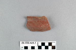 29-166-425.1