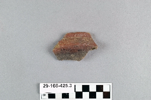 29-166-425.3