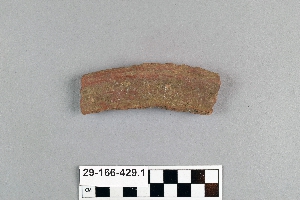 29-166-429.1