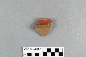 29-166-431.1