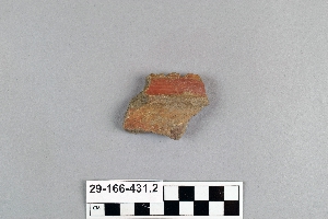 29-166-431.2