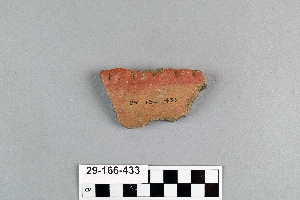 29-166-433
