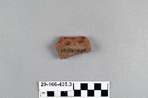 29-166-435.3