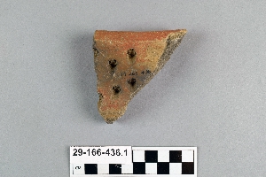 29-166-436.1