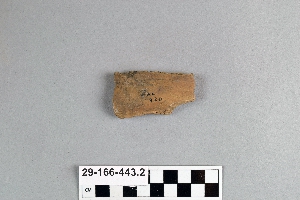 29-166-443.2