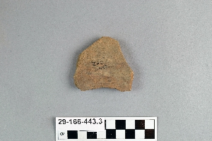 29-166-443.3